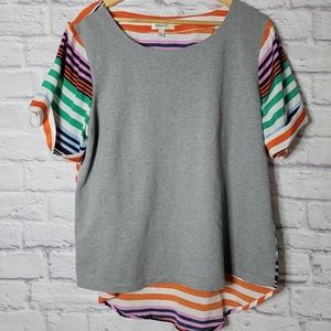 Anthropologie Gray Tunic with Colorful Stripes